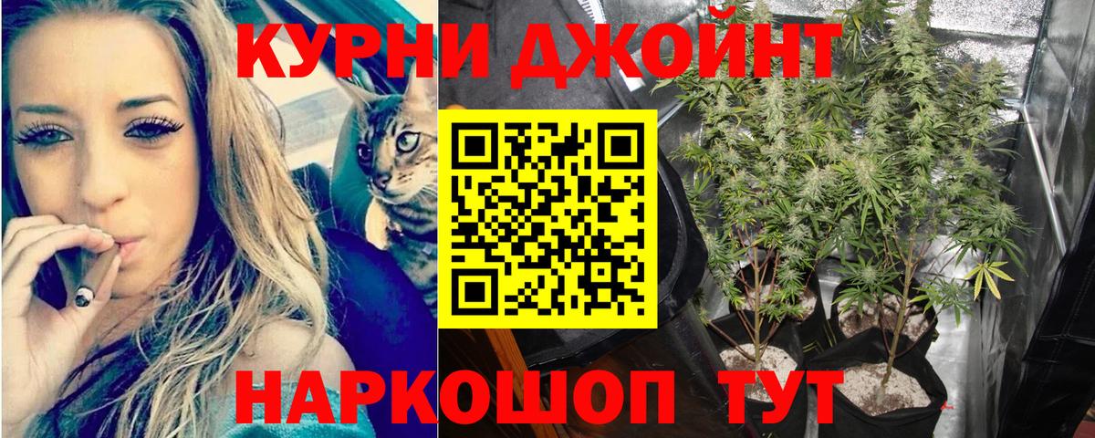 Конопля MAZAR  Каннабис LSD WEED  Дербент  Бошки Шишки OG Kush  Вход с VPN 